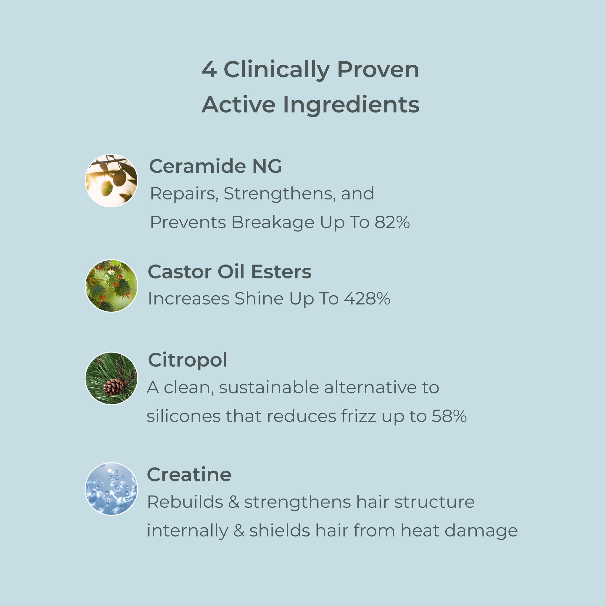 EVOLVh  Better Roots Growth Support Shampoo and Conditioner Duo